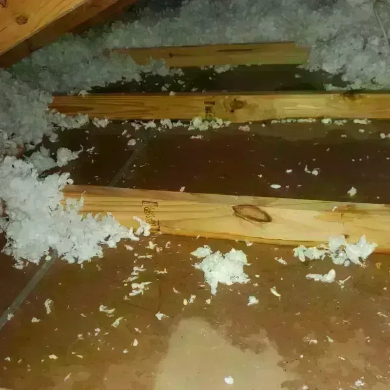 Attic Water Damage in Edgar County, IL